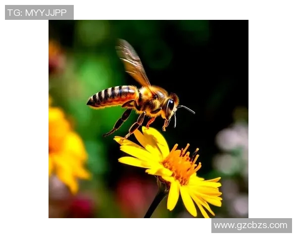 黄蜂生态与行为研究：揭示其在自然界中的角色与影响